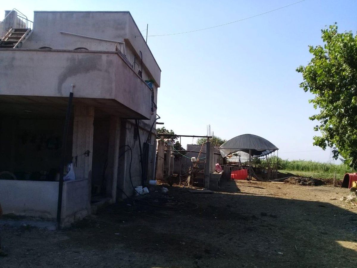 Tarsus\'ta 21 büyükbaş hayvan çalındı