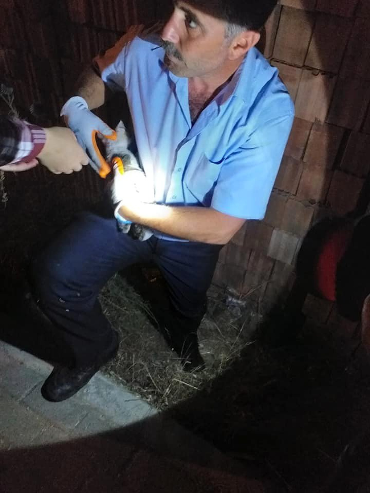 Tuğlalar arasında sıkışan yavru kedi kurtarıldı