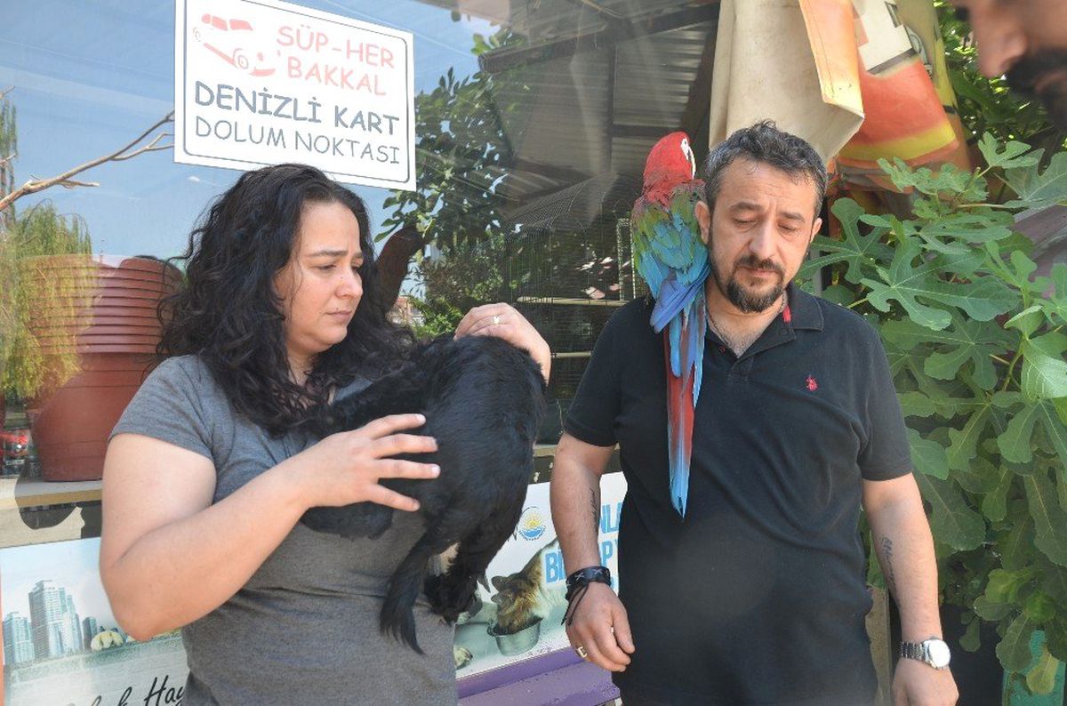 Vicdansız sürücü köpeği böyle ezdi