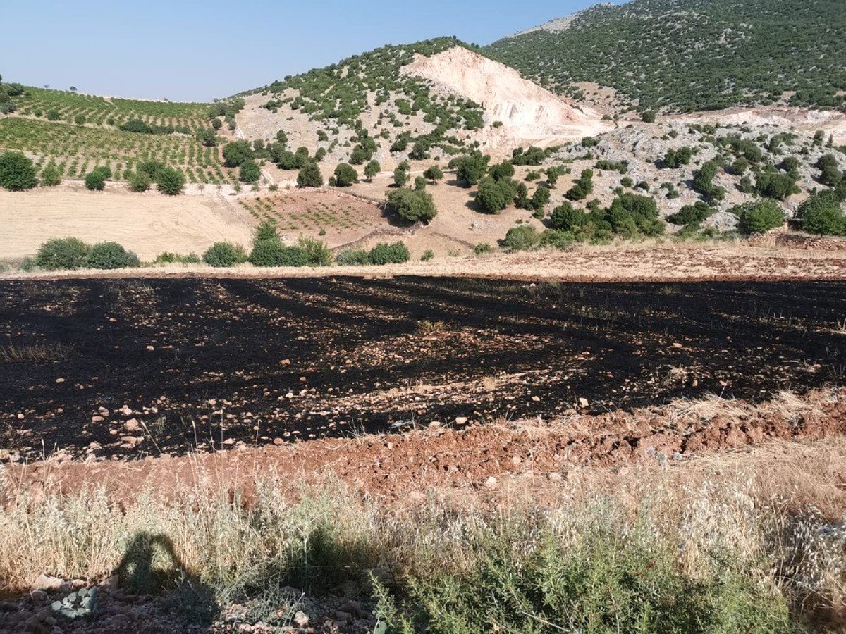 Anız yangınına jandarma müdahalesi