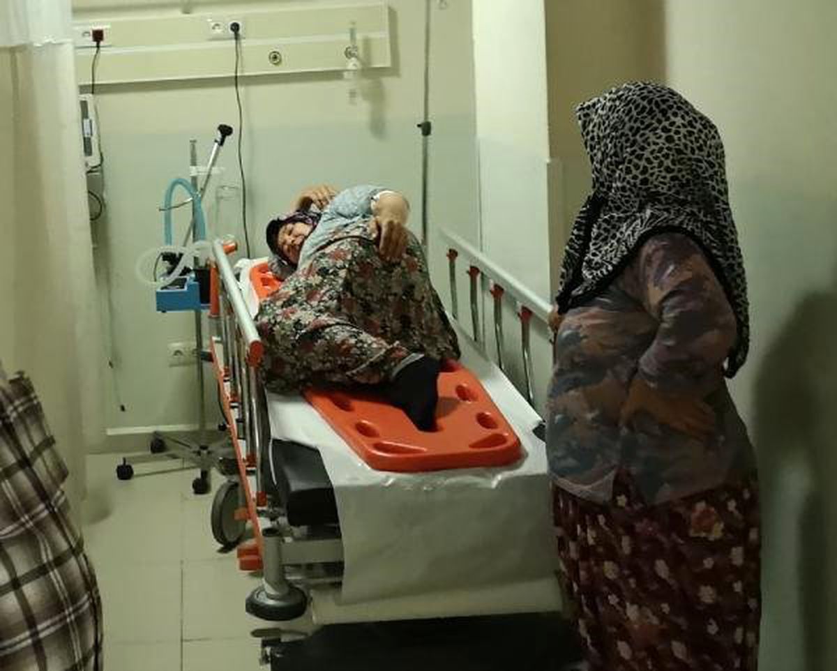 Armut toplarken ağaçtan düşerek yaralandı