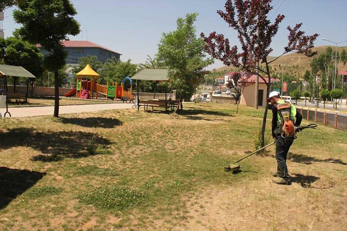 Bitlis Belediyesi yabani ot temizliği başlattı