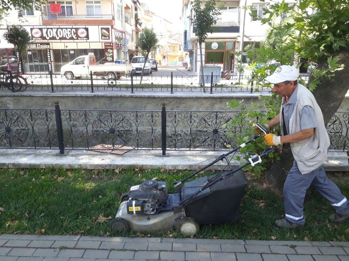 Gemlik\'te peyzaj çalışmaları ve haşereyle mücadele