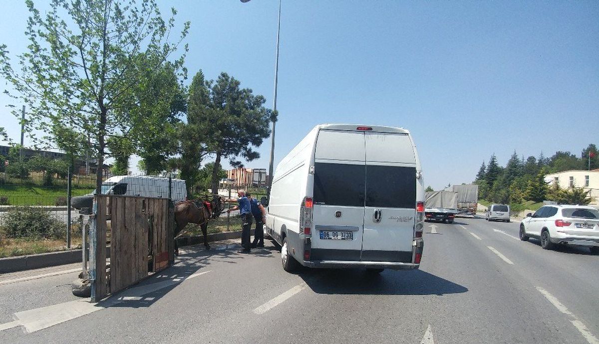 Kontrolden çıkıp devrilen at arabası trafiği birbirine kattı