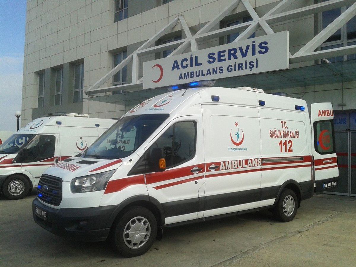 Meyve toplarken ağaçtan düştü