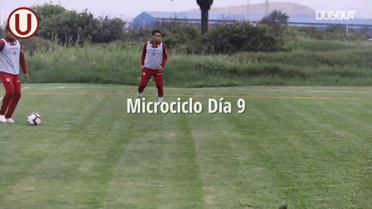 Microcycle Day Nine: Spor Devreleri