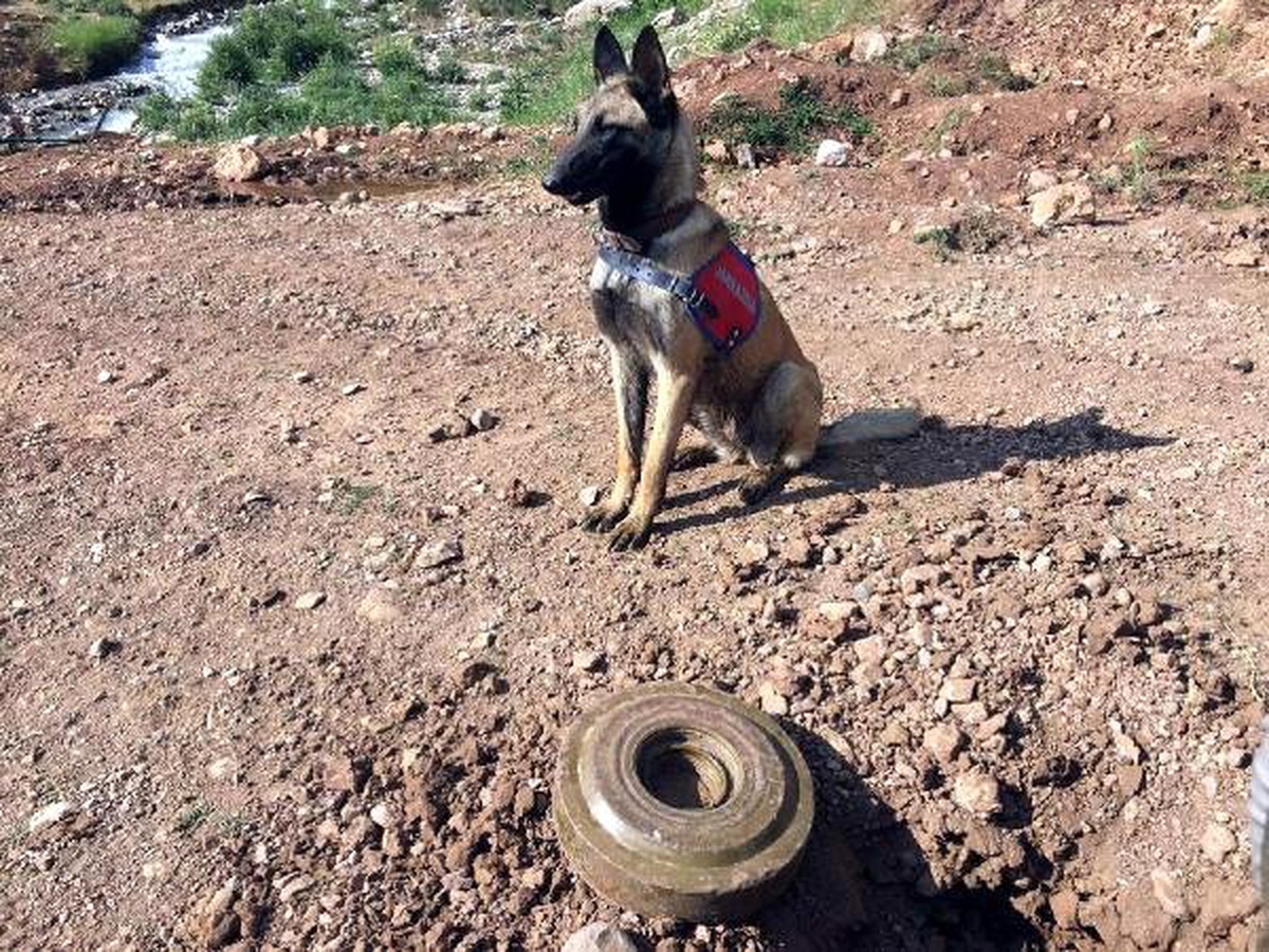 Pervari\'de, PKK\'lı teröristlerin tuzakladığı mayın imha edildi