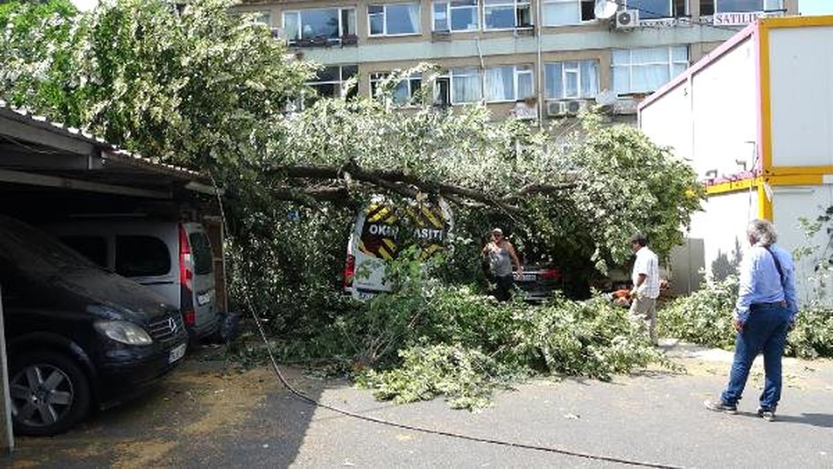 Sarıyer\'de budanmasına engel olunan ağaç araçların üzerine devrildi