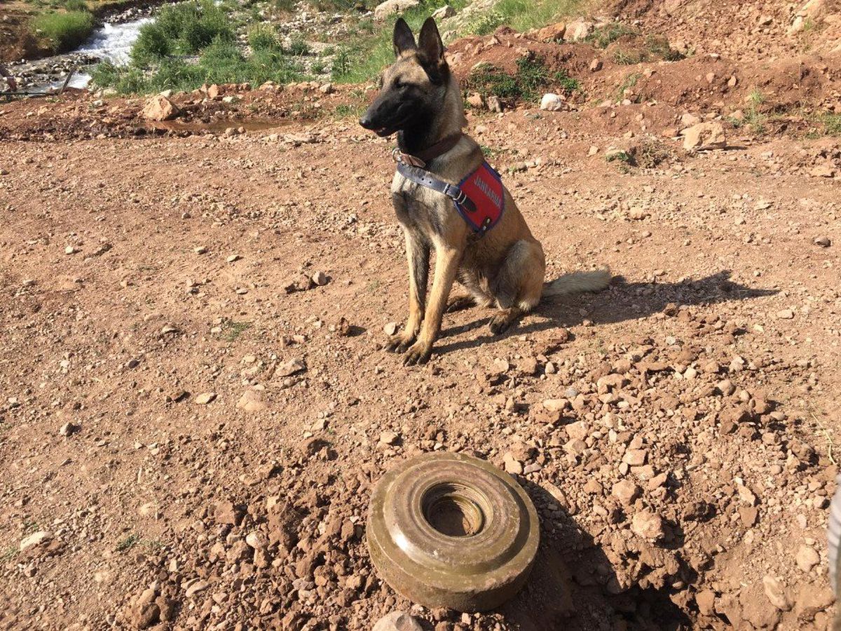 Siirt\'te terör örgütü mensuplarınca yola tuzaklanmış anti tank mühimmatı imha edildi