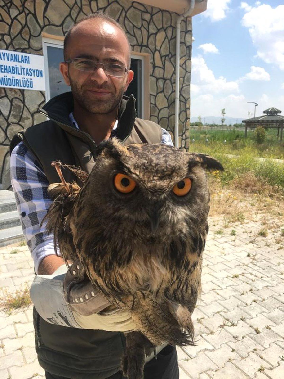 Van\'da yaralı kuşlar tedavi altına alındı