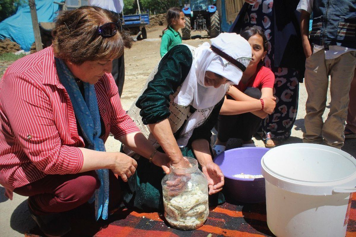 Yayladan sofralara otlu peynirinin lezzet yolculuğu