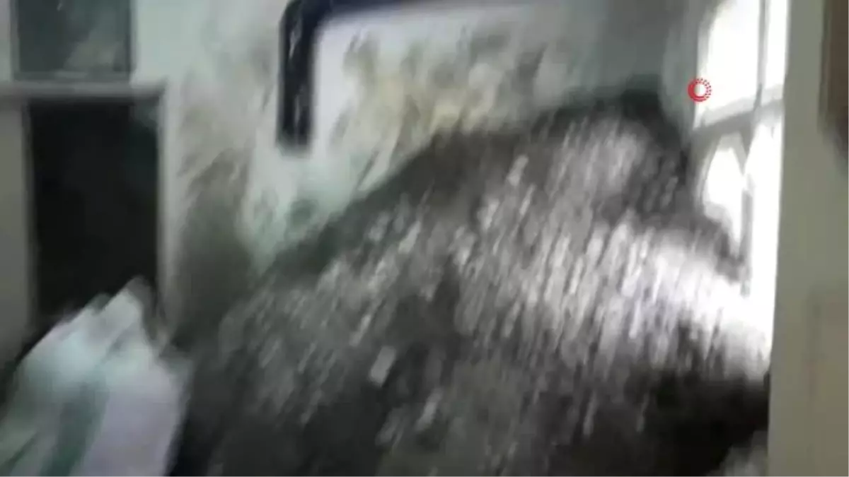 Defne avcılarına baskın