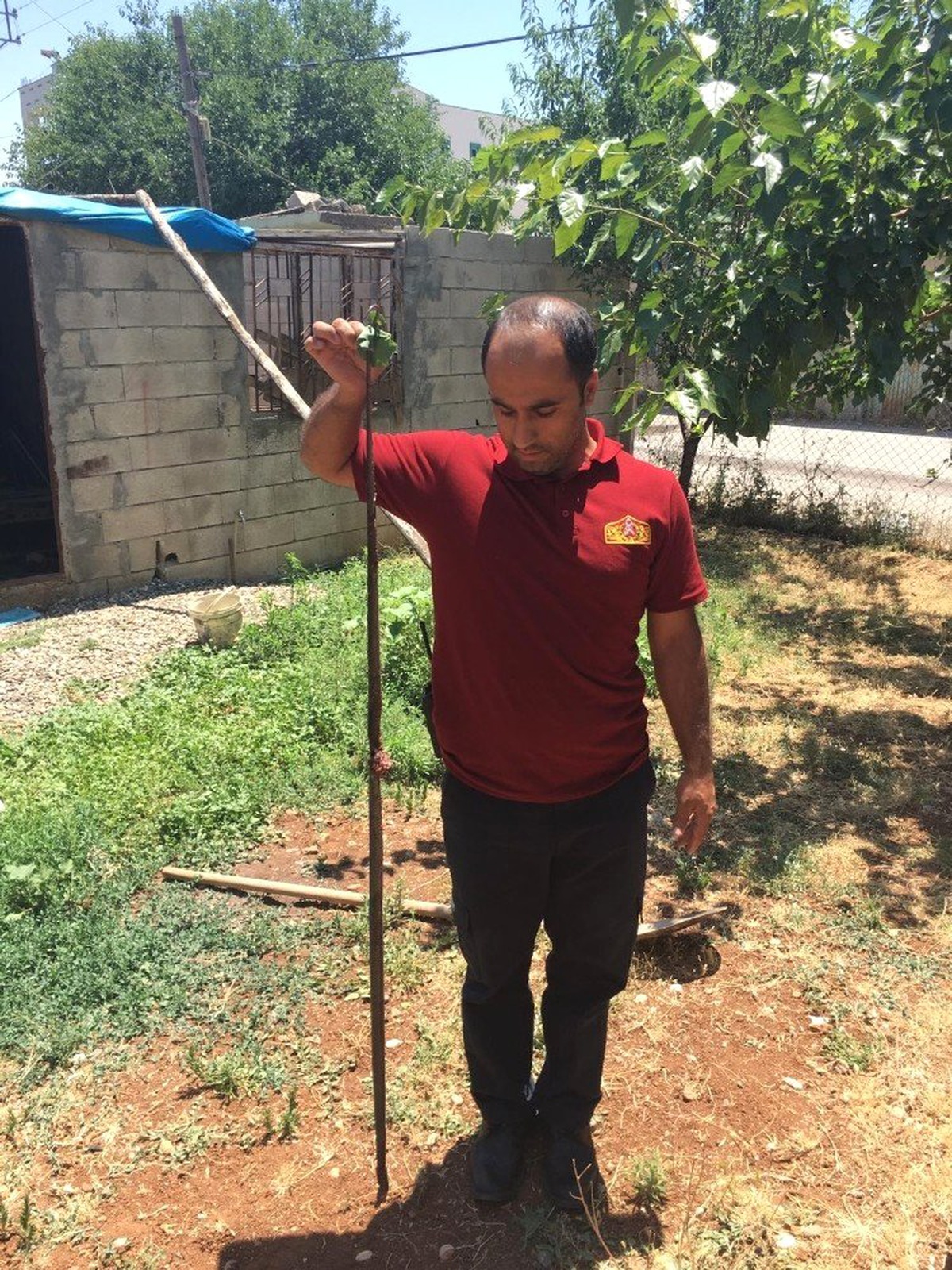 Eve giren yılanı itfaiye ekipleri yakaladı