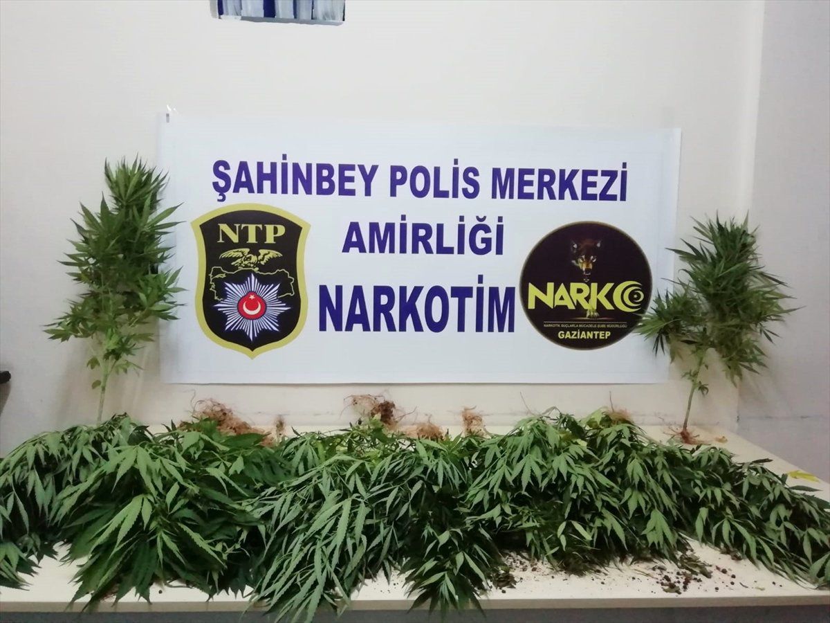 Gaziantep\'te uyuşturucu operasyonu