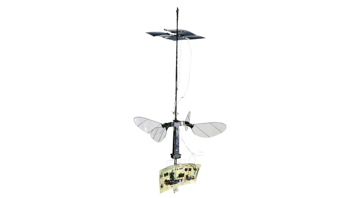 Gücünü Güneşten Alan Robot Arı: RoboBee X-Wing (Video)