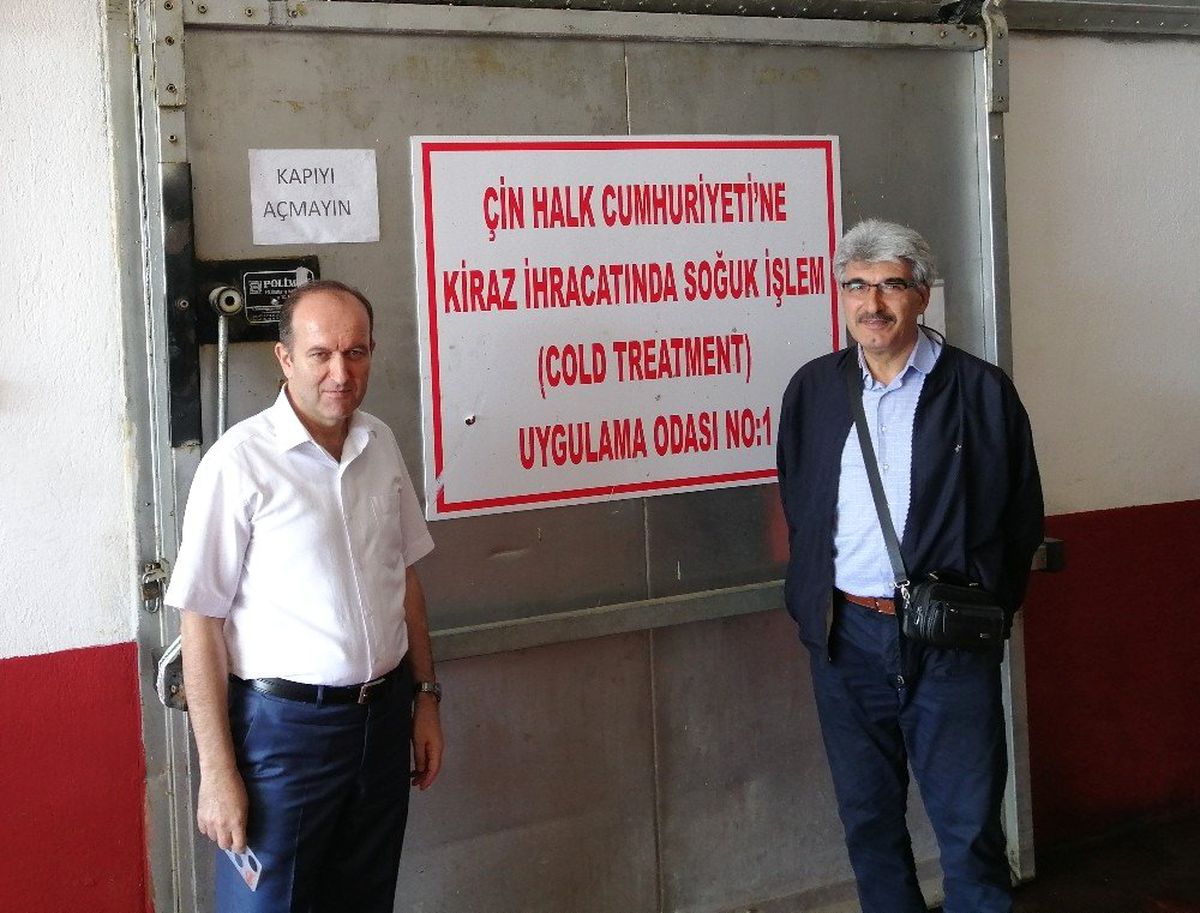 Isparta\'dan Çin\'e soğuk işlemli kiraz ihracatı