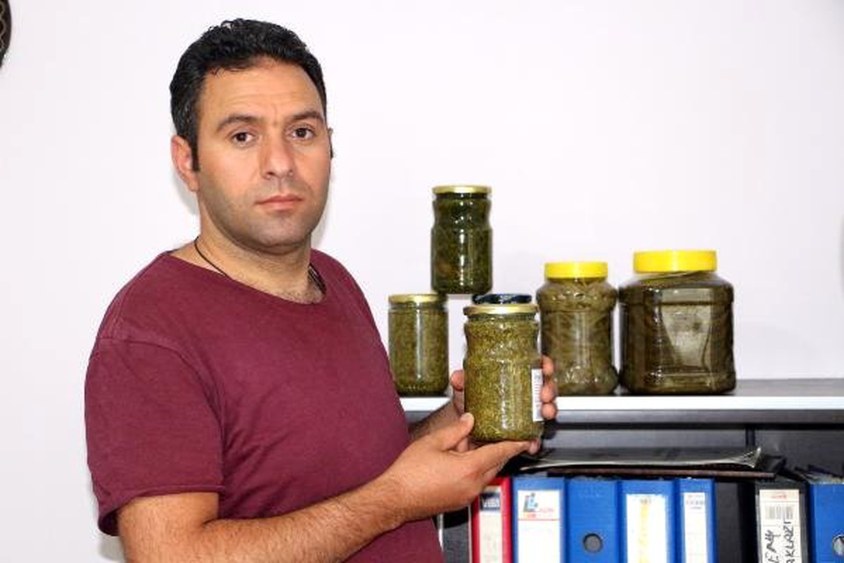 İşsizken yediği yemek fikir verdi, madımak konservesi üretti