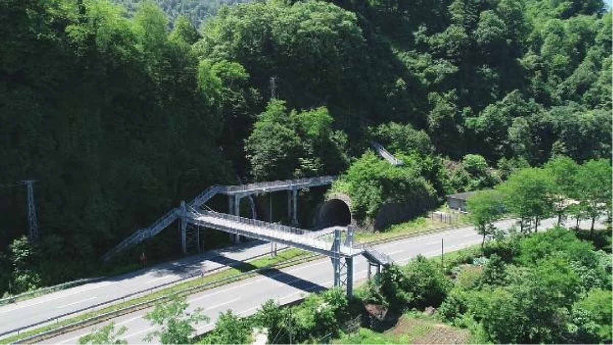 Karadeniz\'in \'labirent üst geçitleri\' şaşırtıyor