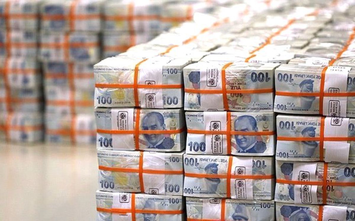 MB’nin ihtiyat akçesi bütçeye aktarılacak