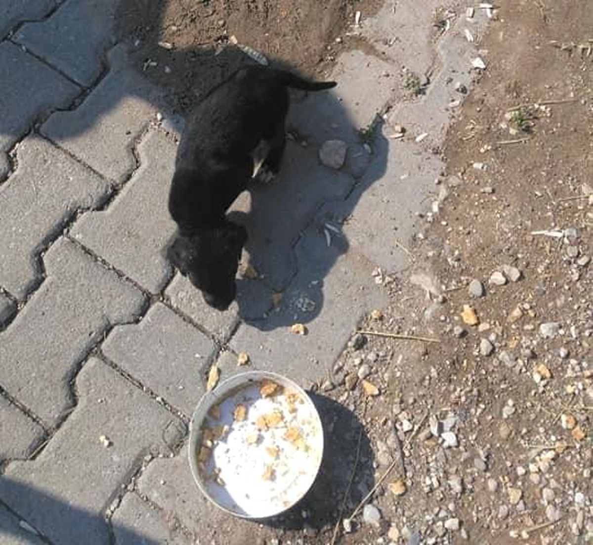 Nallıhan\'da çocuklardan alkışlanacak hareket