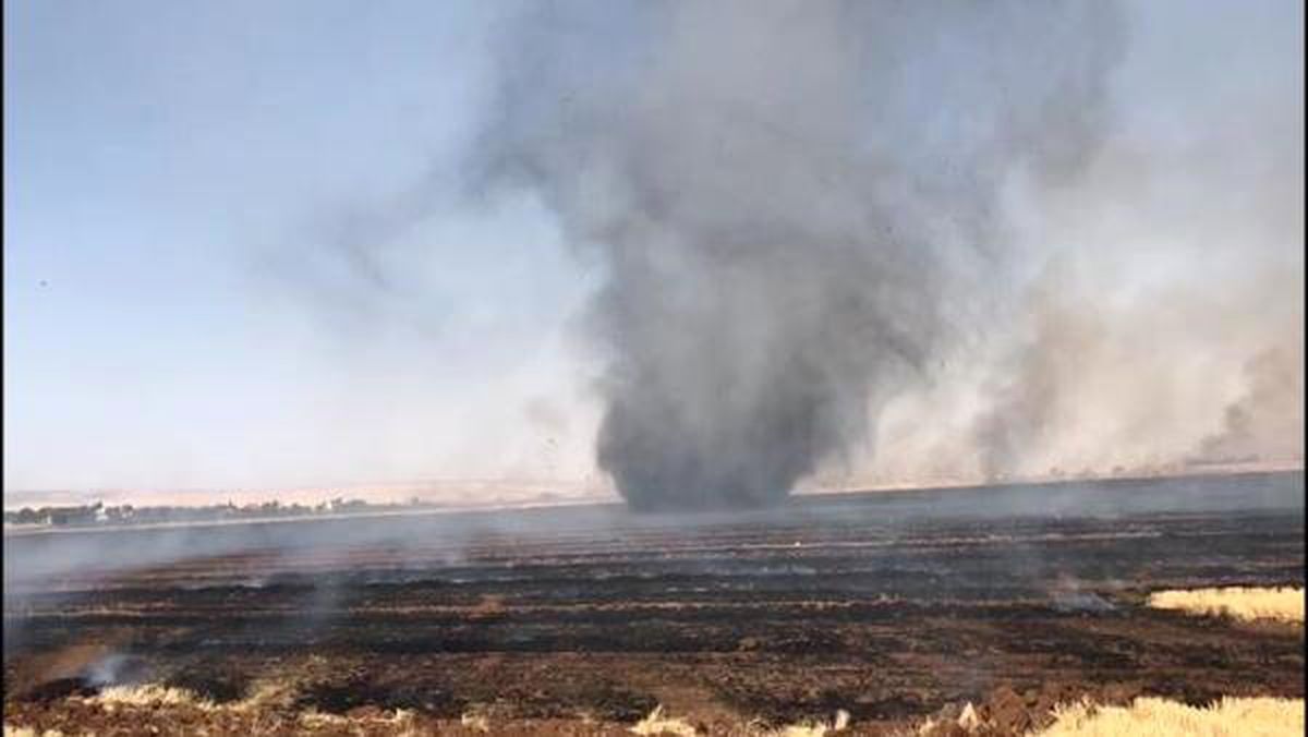 Nusaybin\'de anız yangını