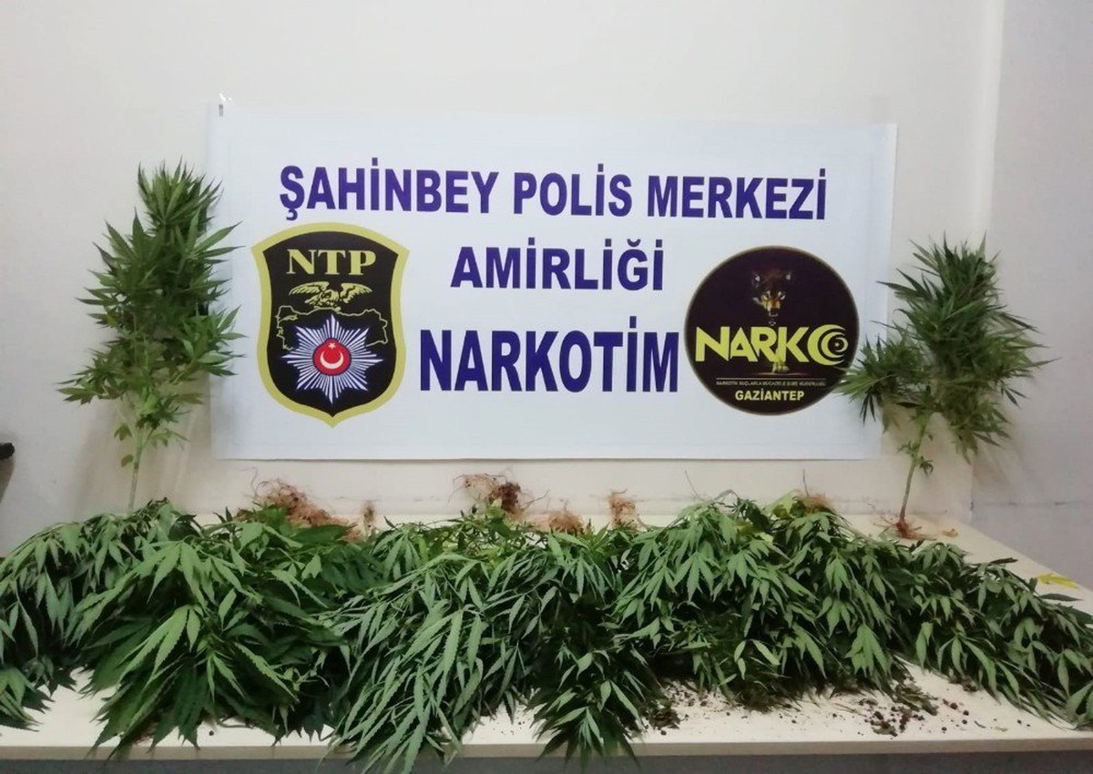 Polis uyuşturucu tacirlerine göz açtırmıyor