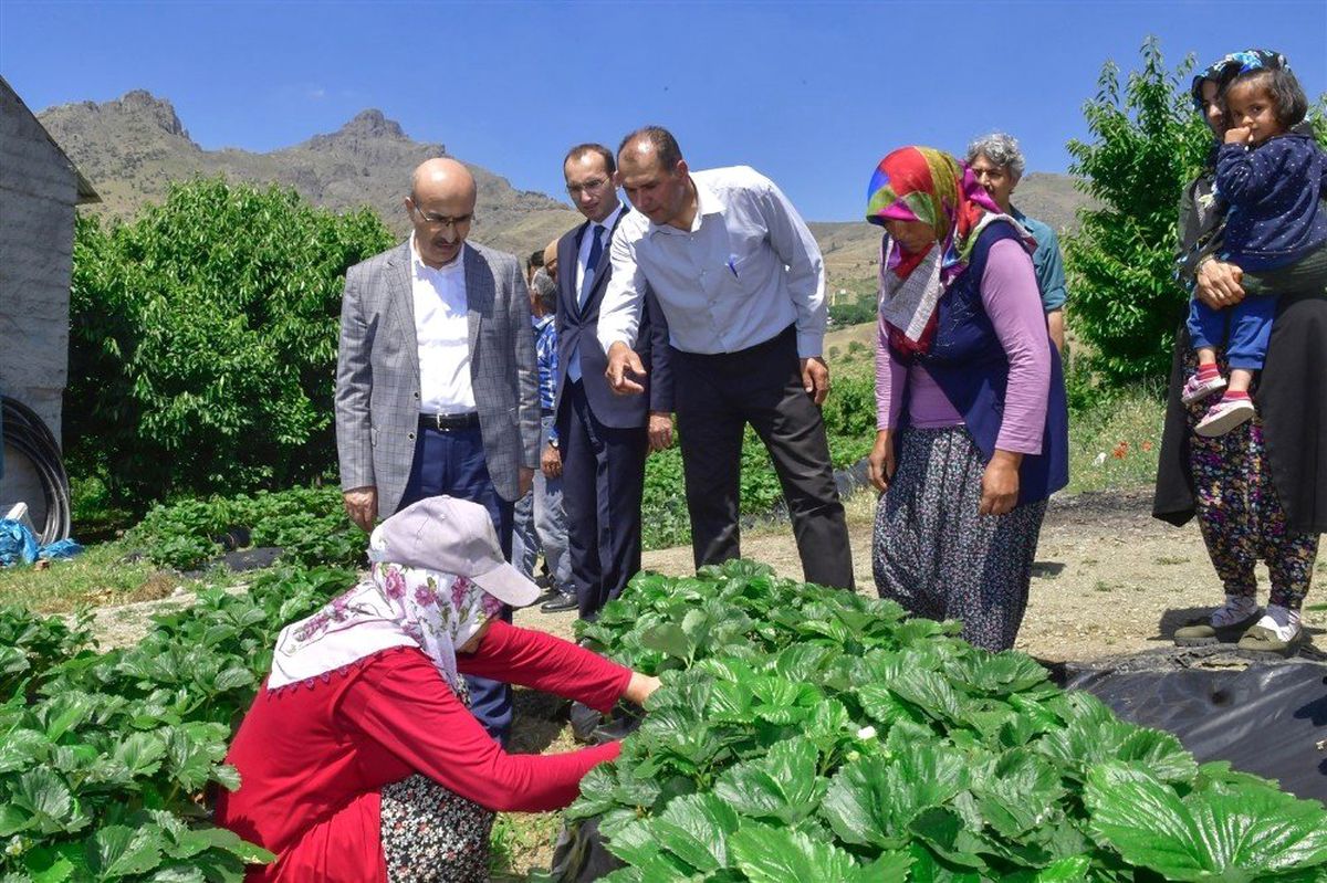 Vali Demirtaş: "Adana\'nın tarımsal potansiyeli iyi değerlendirilmeli"