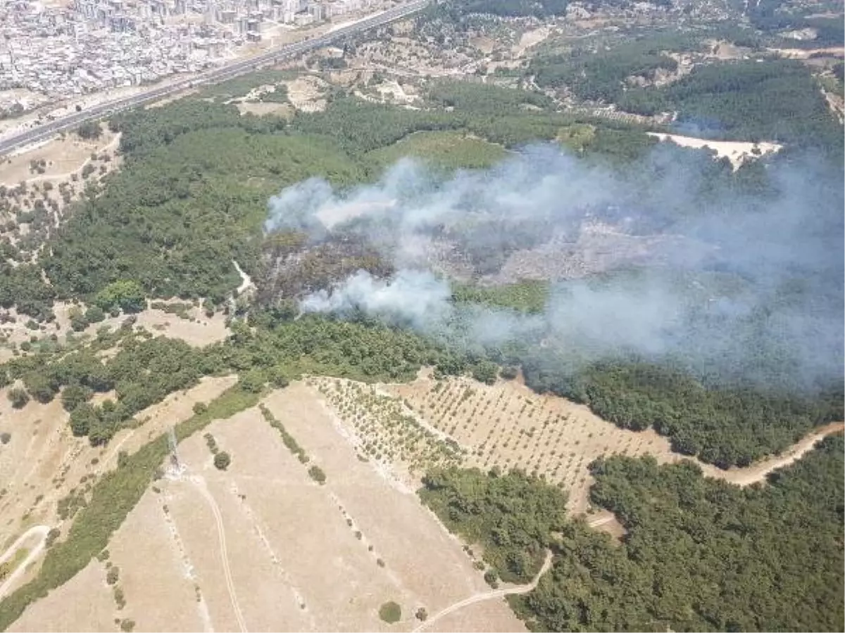 Buca\'da çıkan yangında 5 hektarlık orman zarar gördü