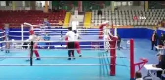 Elif, Kick Boks'ta Milli Takım'a yükselmek istiyor