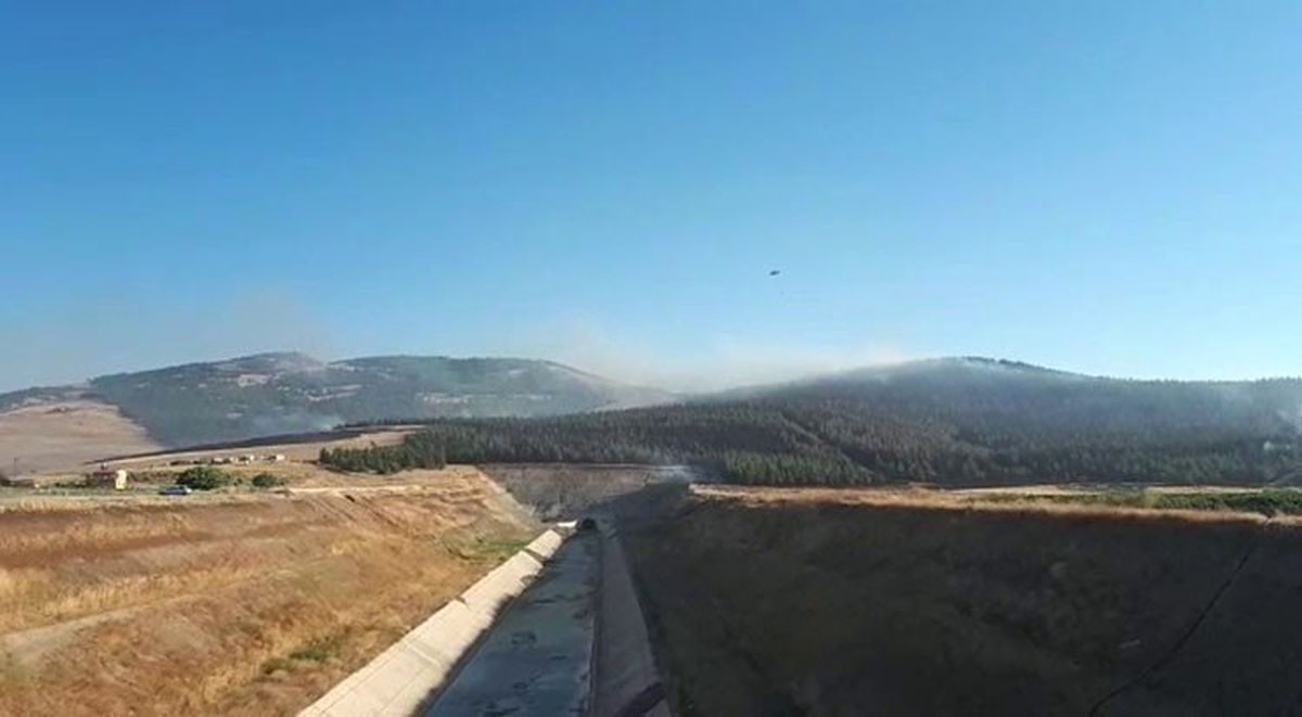 Gaziantep\'te anız yangını ormana sıçradı