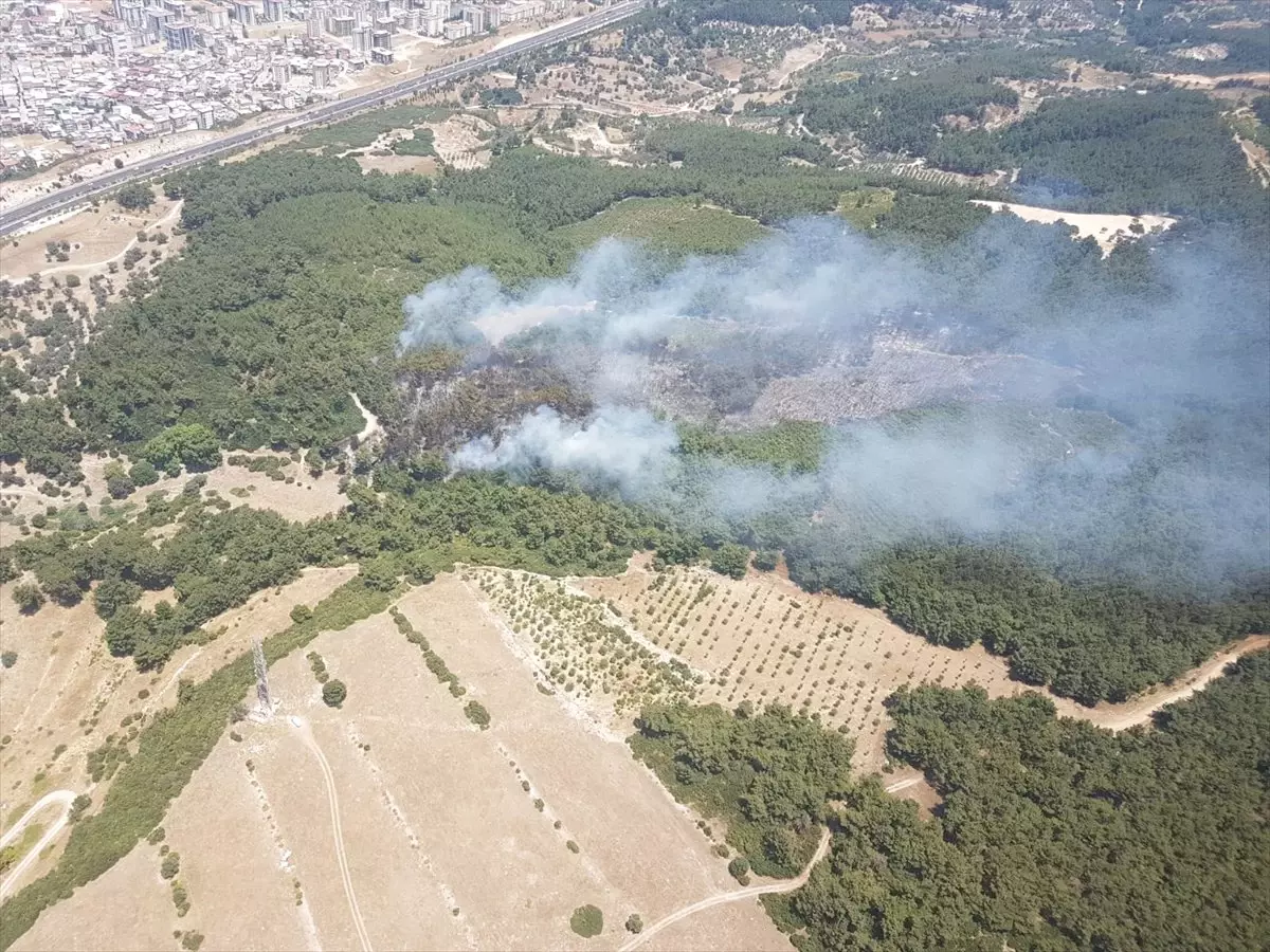 İzmir\'de orman yangını