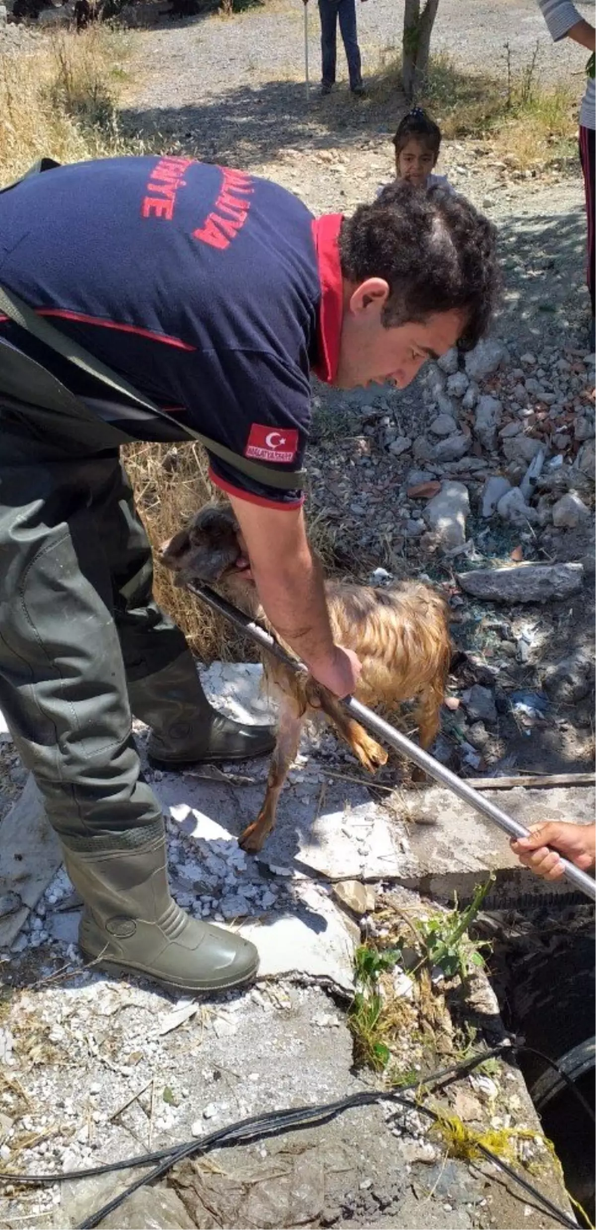 Kuyuya düşen keçiyi itfaiye ekipleri kurtardı