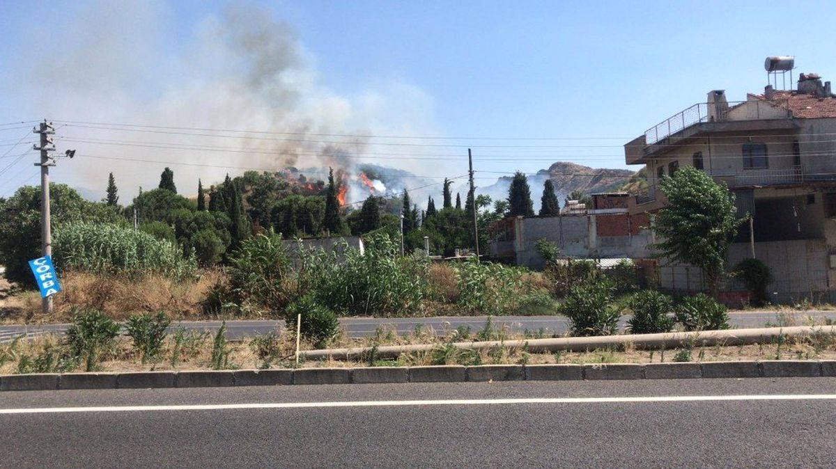 Manisa\'da orman yangını