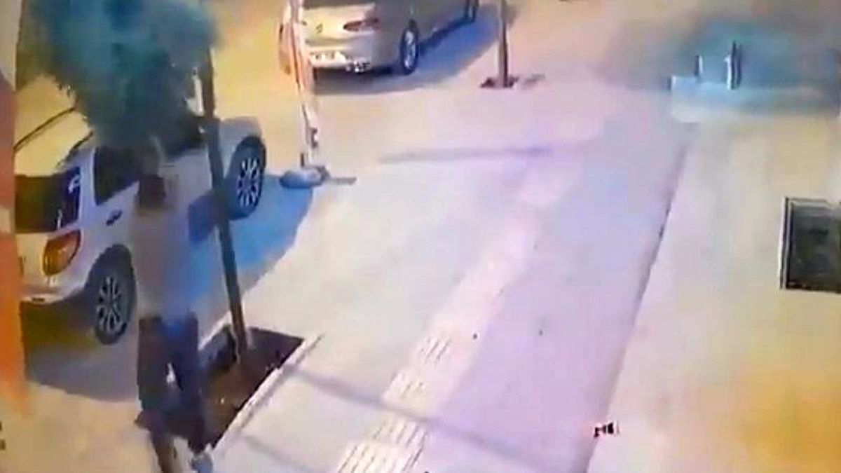 Mardin\'de kaldırımdaki ağacı kıran kişiye 100 fidan dikme cezası