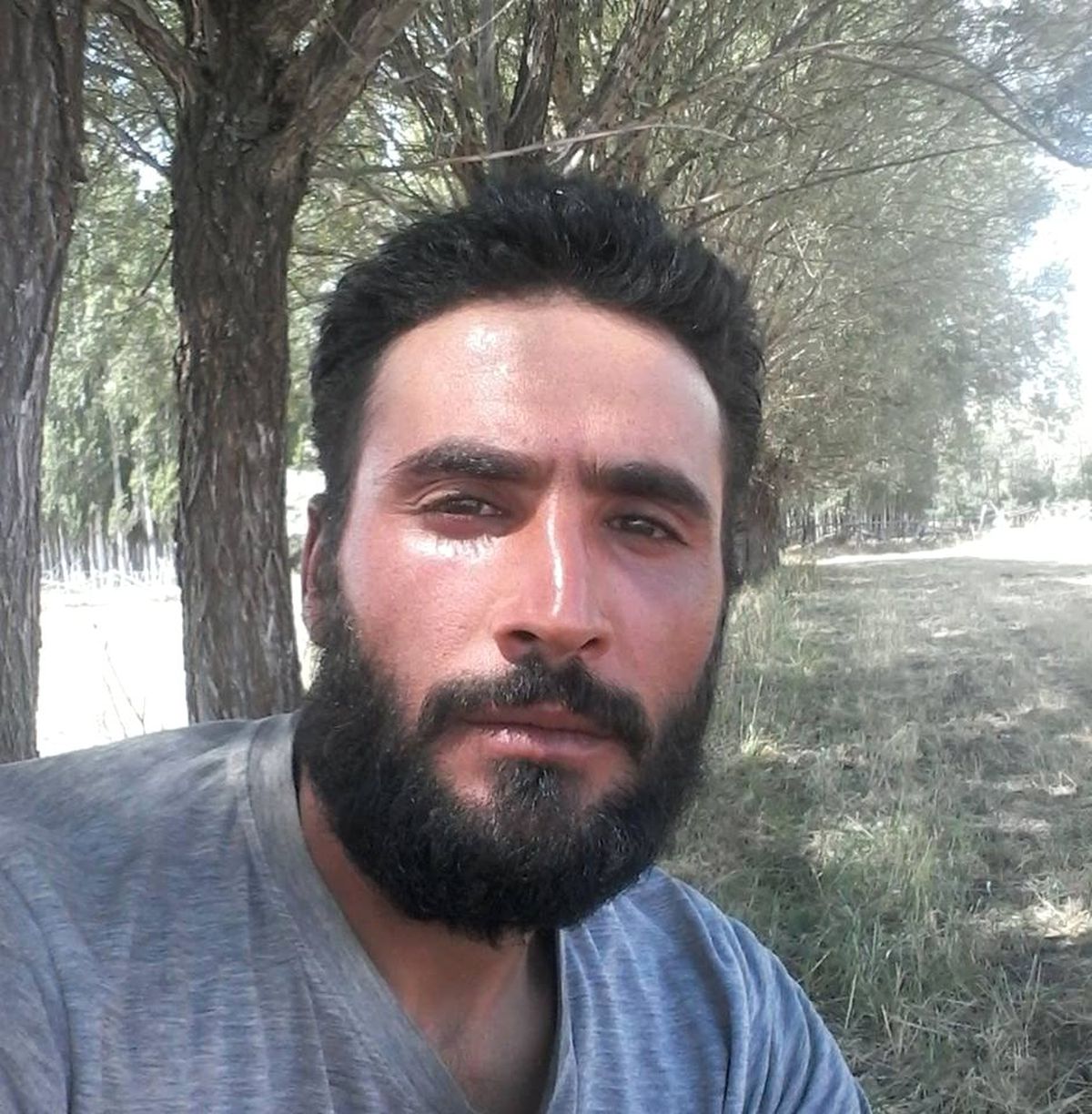 Sivas\'ta kene ölüme neden oldu