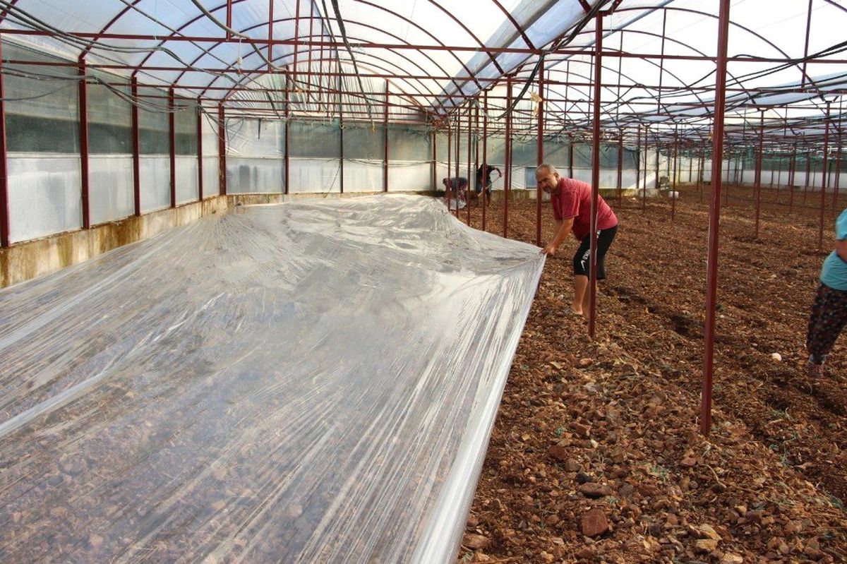Virüse dayalı ve fungusit hastalıklarla baş edemeyen çiftçiler, seralarda solarizasyon uygulaması...