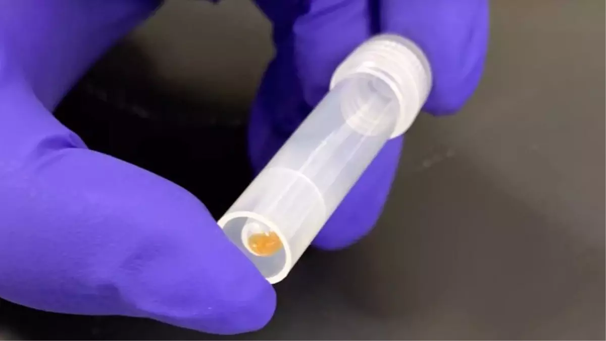 ABD\'li Şirket Catalog, 16 GB\'lık Wikipedia Verisini DNA\'ya Yerleştirmeyi Başardı