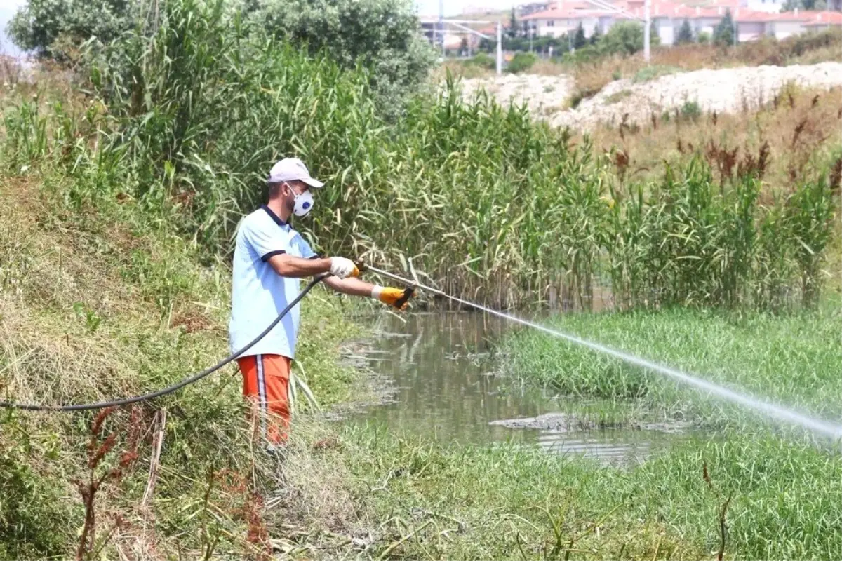 Başakşehir\'de çevreye duyarlı sivrisinek mücadelesi