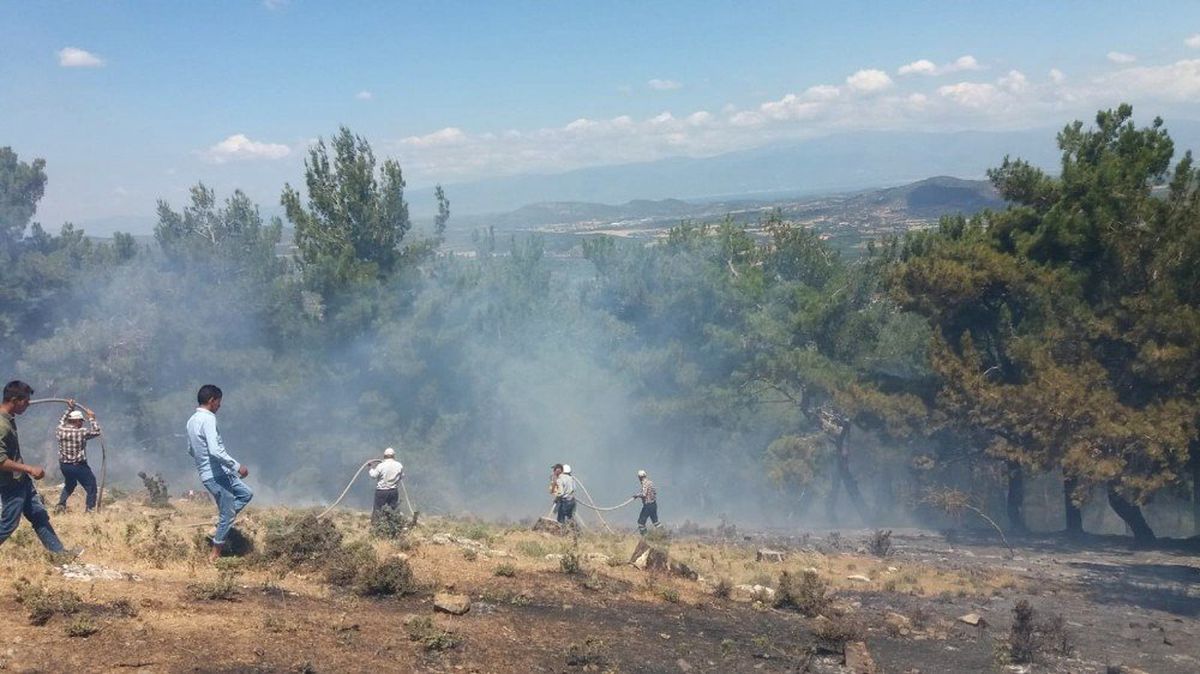 Burhaniye\'de orman yangını