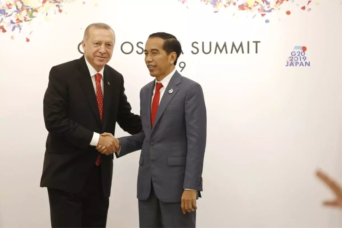 Cumhurbaşkanı Erdoğan, Endonezya Devlet Başkanı Widodo ile görüştü