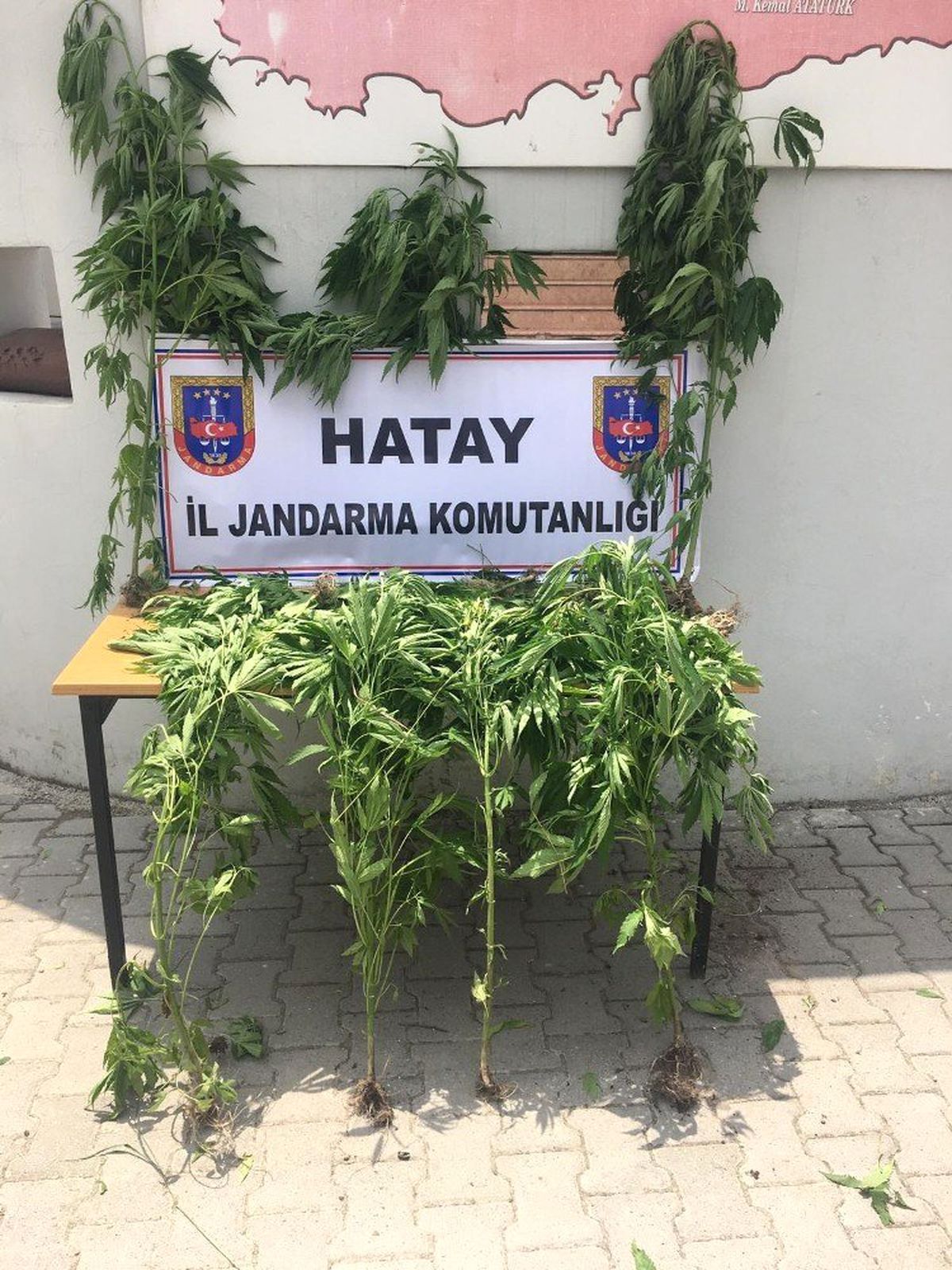 Hatay\'da Hint keneviri operasyonu