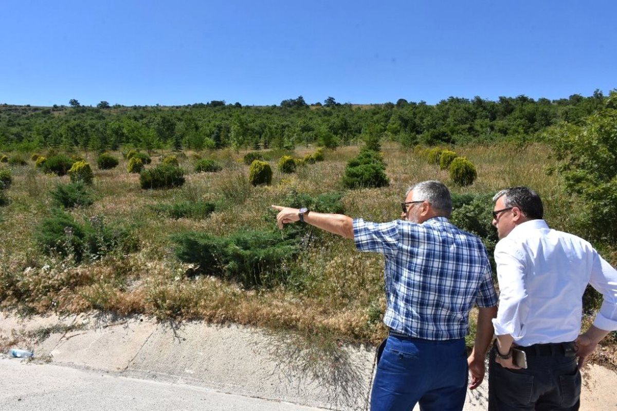 İnönü Bal Ormanı çalışmaları tüm hızıyla devam ediyor