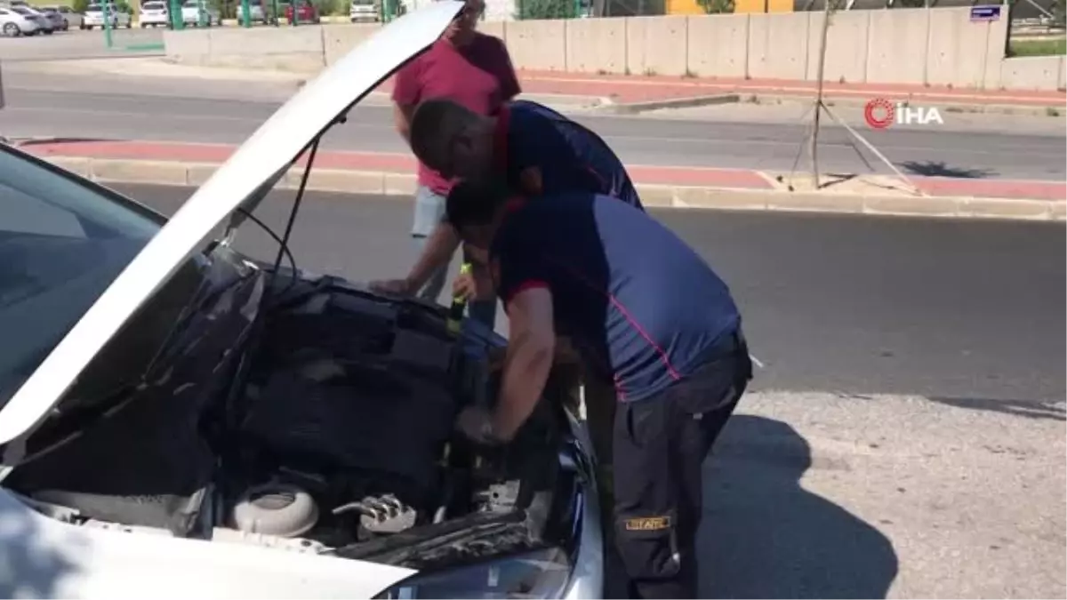 Yavru kedi araç motorunda 45 kilometre yolculuk yaptı