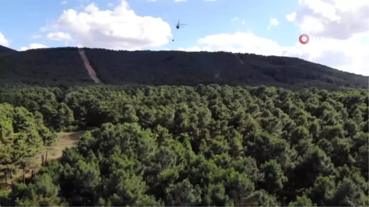 Aydos Ormanı\'nda yangın çıktı... Helikopterli müdahale havadan görüntülendi