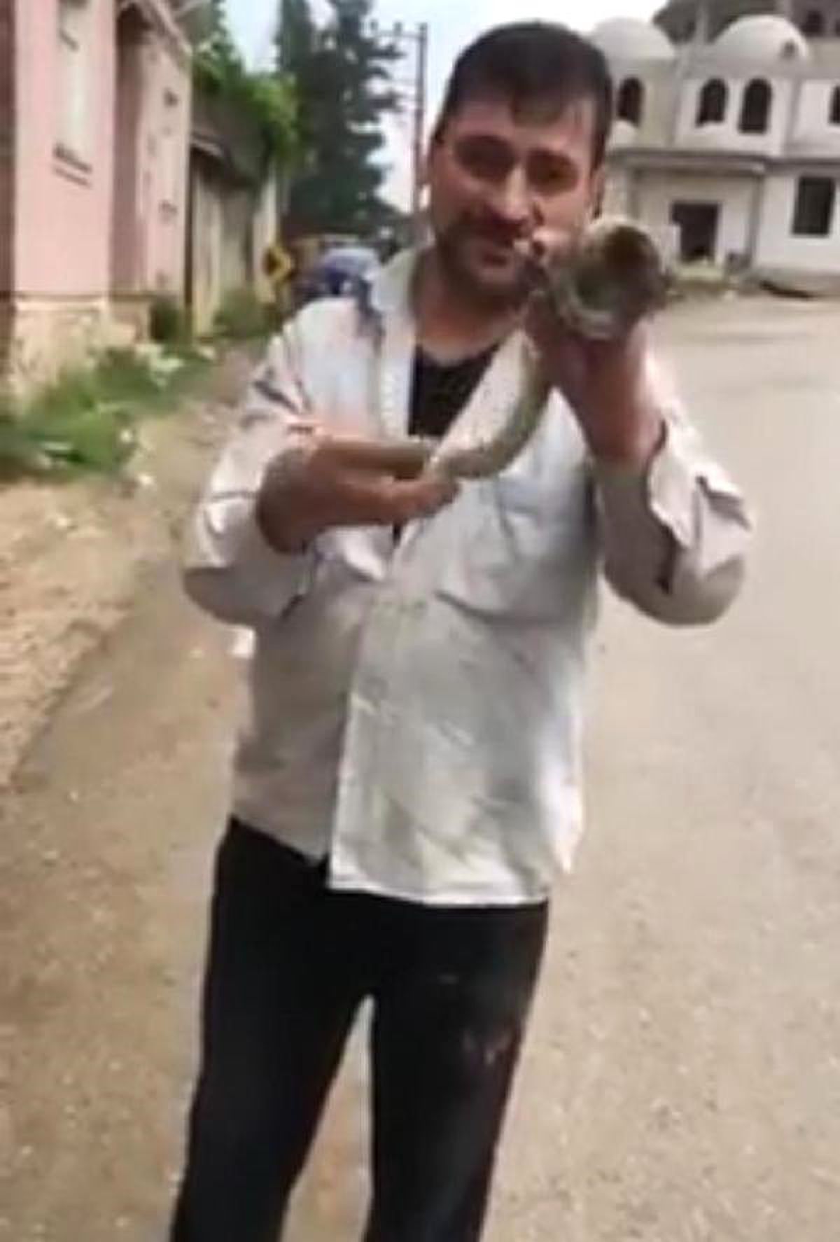 Çıplak eliyle yakaladığı yılanla oynadı