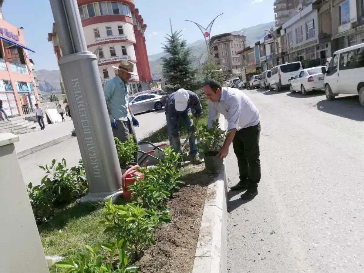 Hakkari Belediyesinden yeşillendirme çalışması