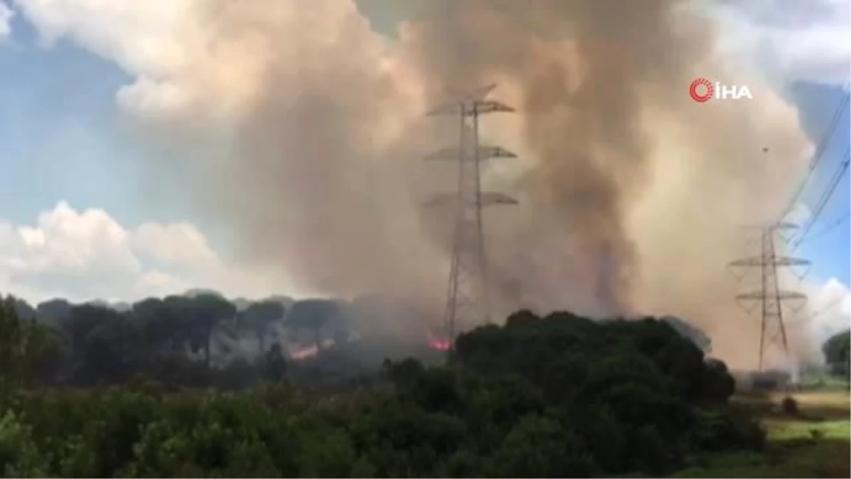Hasdal askeri bölge yakınında bulunan ormanlık alanda yangın çıktı.