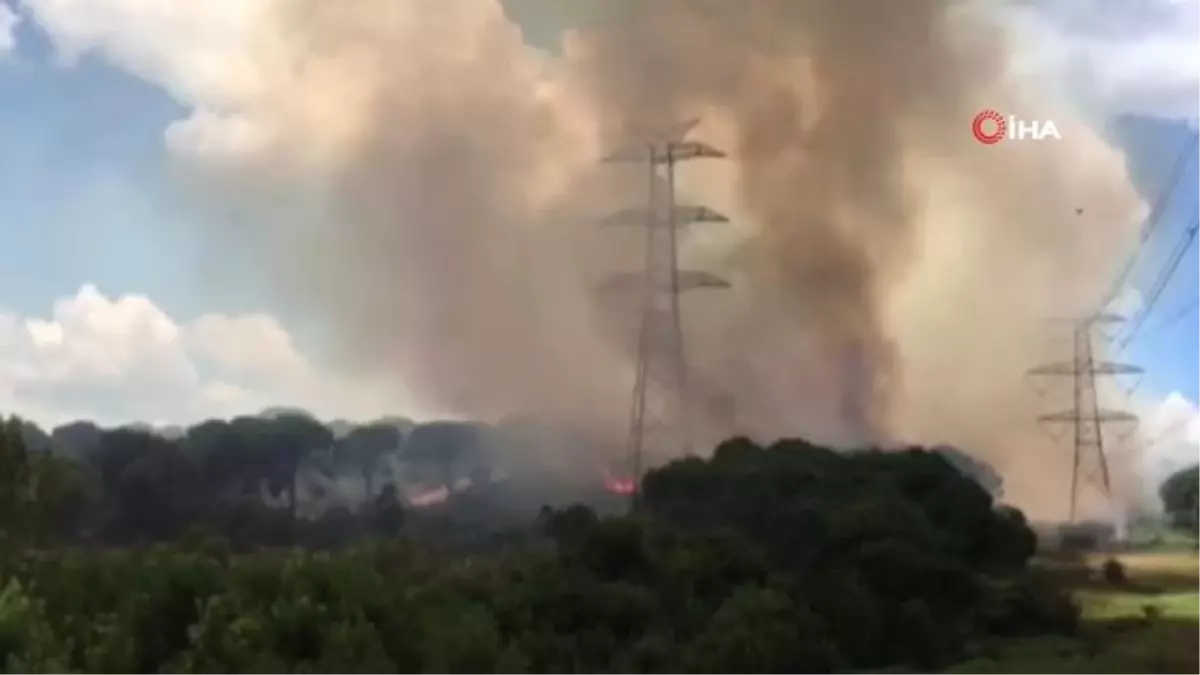 Hasdal askeri bölge yakınında bulunan ormanlık alanda yangın çıktı.