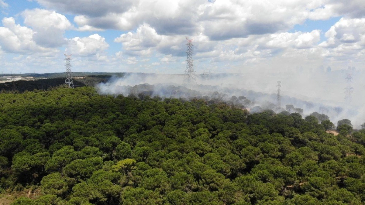 Hasdal\'da askeri alandaki ormanda yangın