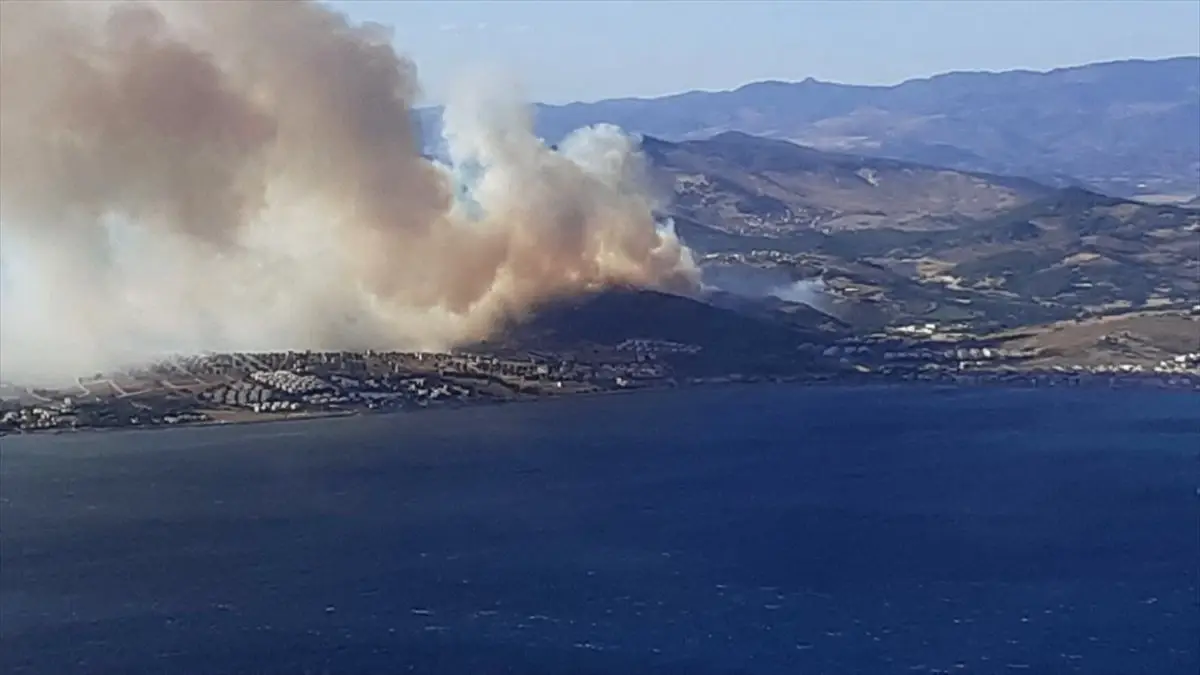 İzmir\'de orman yangını